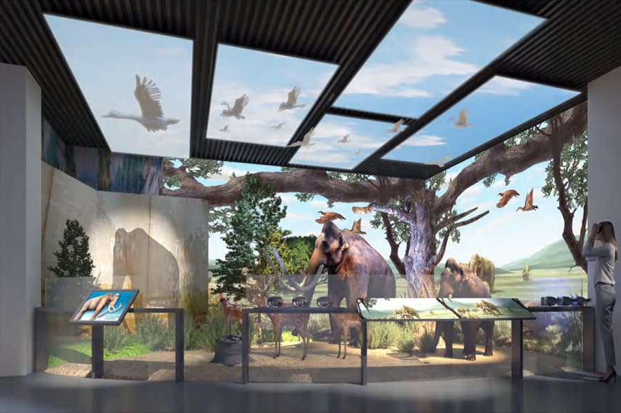 博物館展廳裝修公司，博物館展廳設(shè)計(jì)公司，博物館展廳設(shè)計(jì)方案