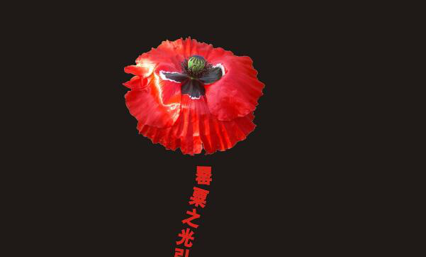 多媒體禁毒展廳展館解決方案 多媒體禁毒展廳展館解決方案